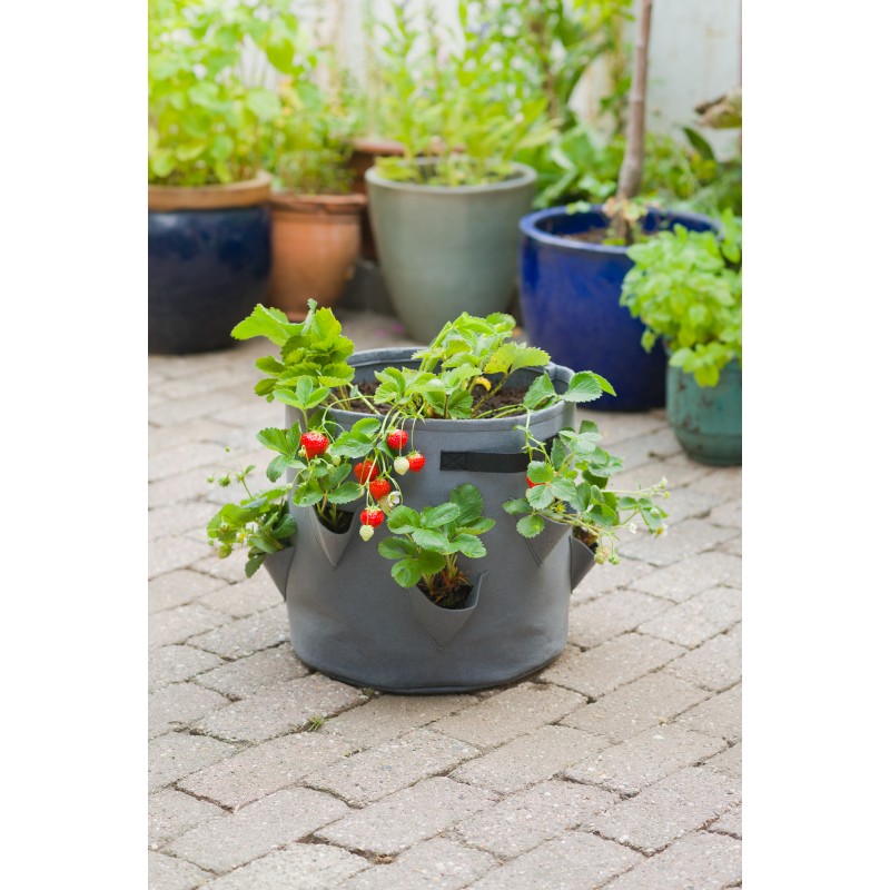 5 Sacs De Culture Pour Plantation De Fraises Coloris Gris H35 X Diam 35